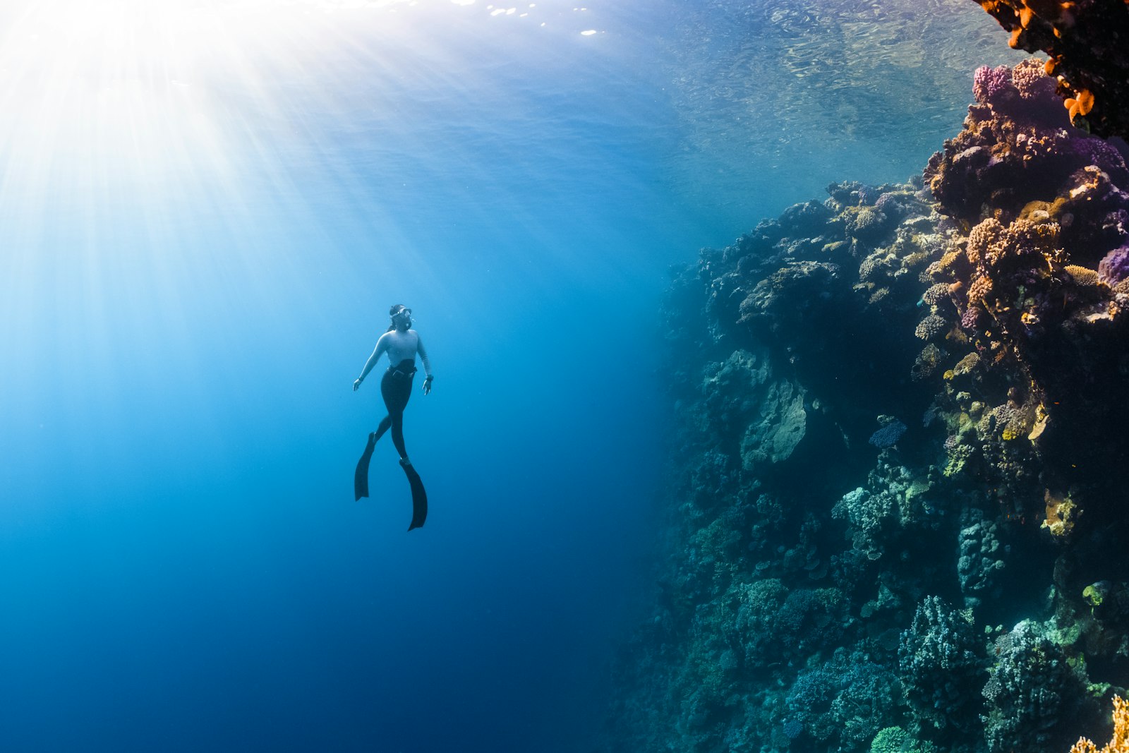 Scuba on the private tour