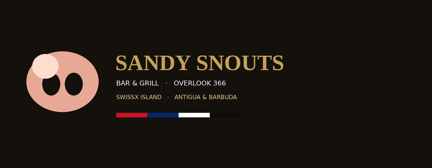 Sandy Snouts primary banner, gold wordmark on ink