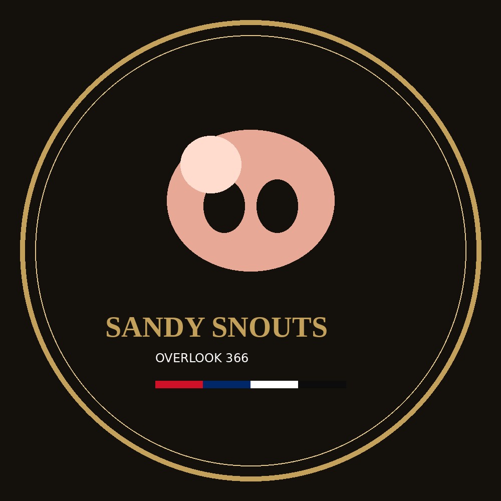 Sandy Snouts coaster