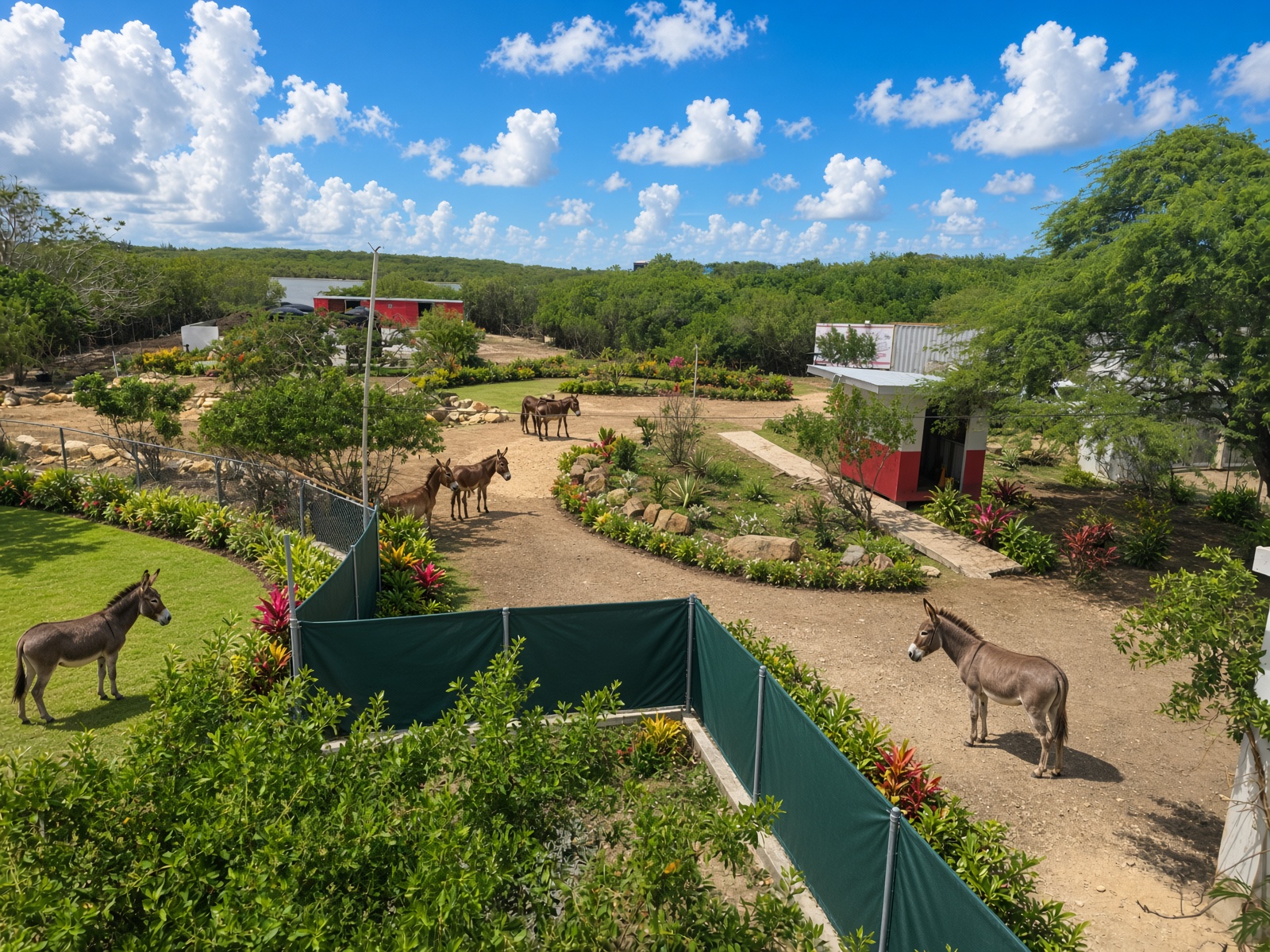 Working farm yard and donkeys