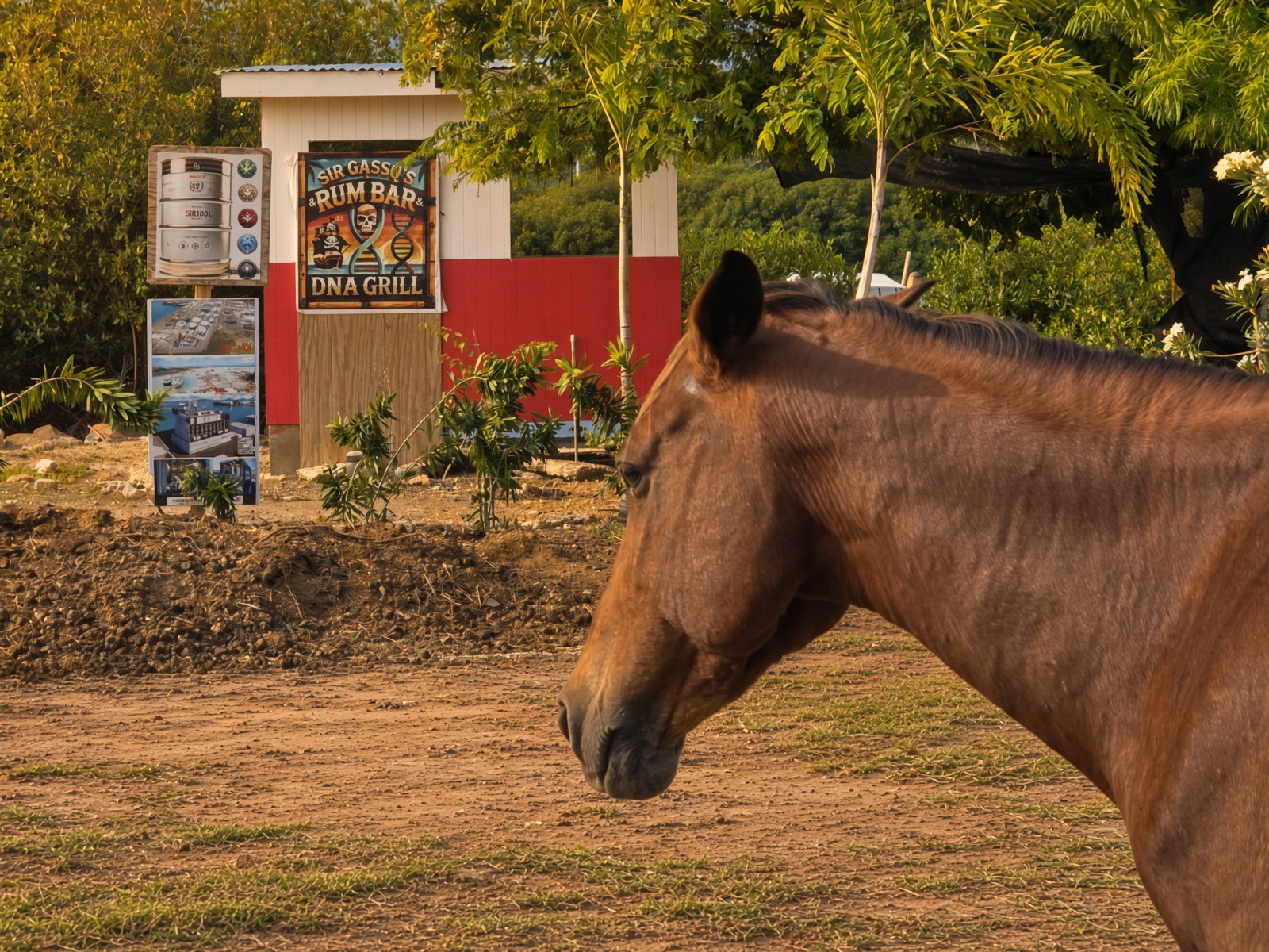 Finished lagoon paddock with horse and donkey