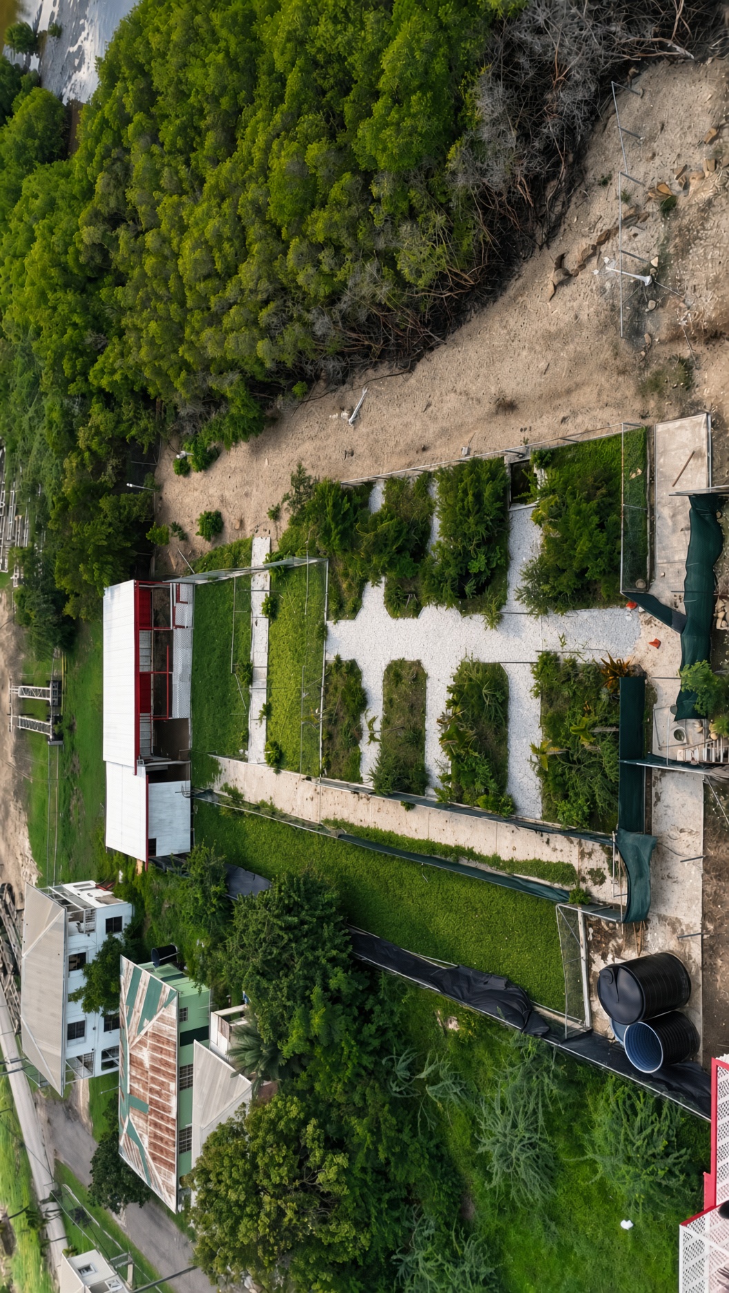 Sanctuary yard, turtle runs and stables at SwissX Island
